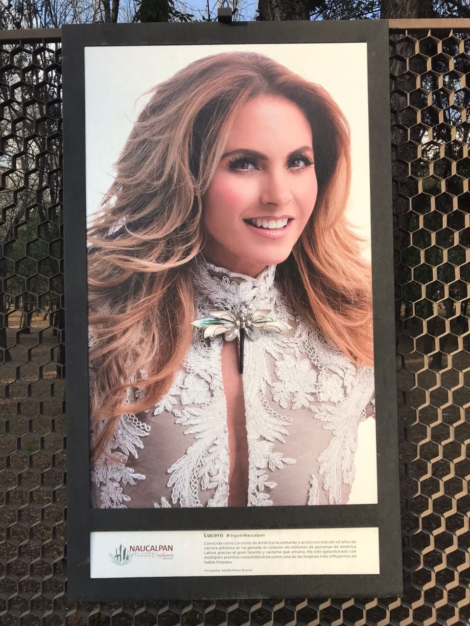 LUCERO EN NAUCALPAN CELEBRADIDADES 2021